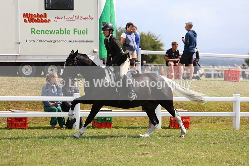 3E7A9789 - Class 5: Rising Star Lightweight/Heavyweight Cobs