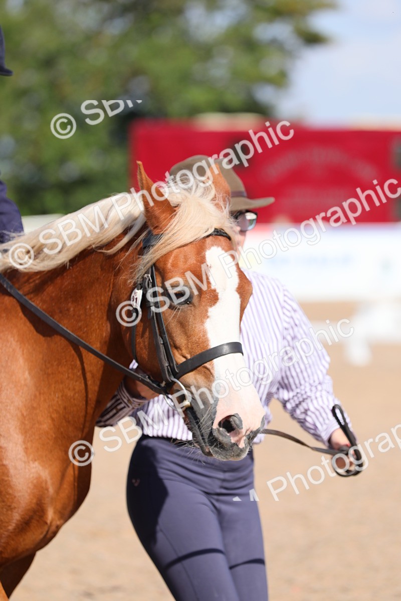 SBM_02596 - Class 30 Intro 1