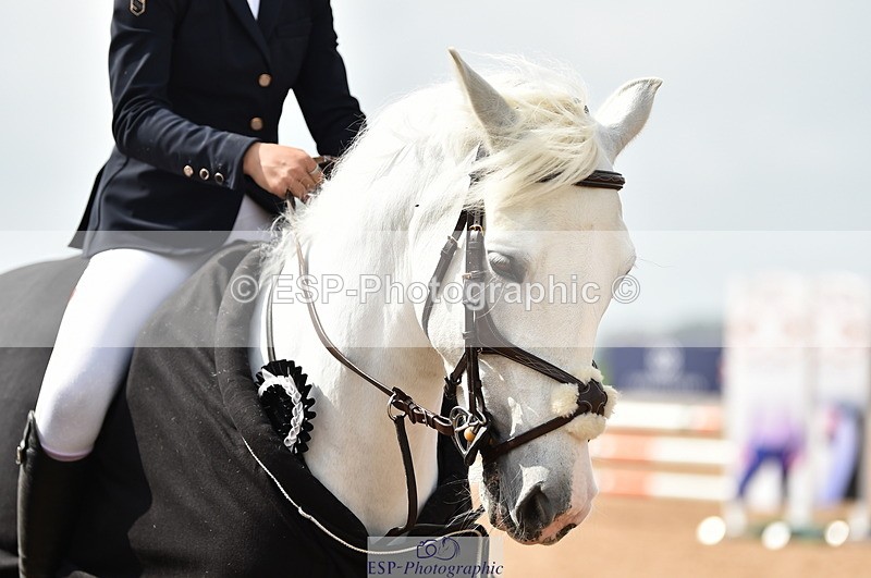 230902A-120322-00907 - Cls 2B Pony Small 80cm