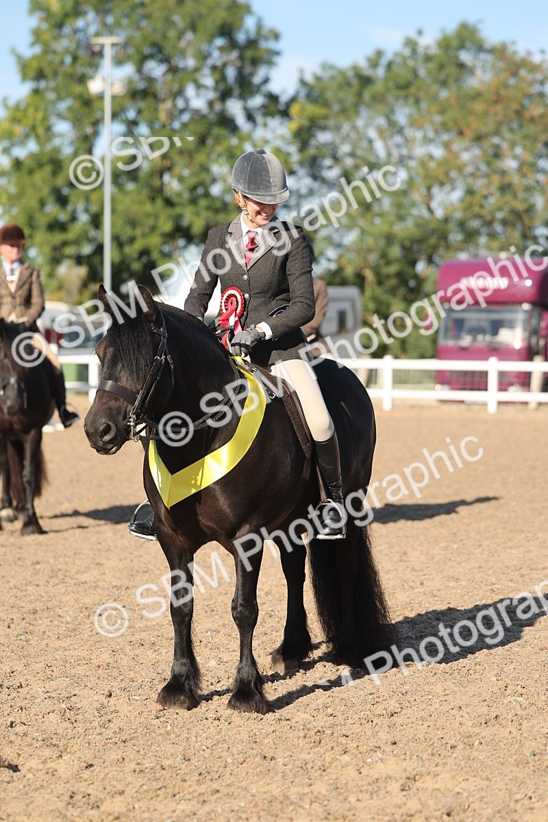 SBM_11110 - Class 302 - Ridden M&M Large Breeds