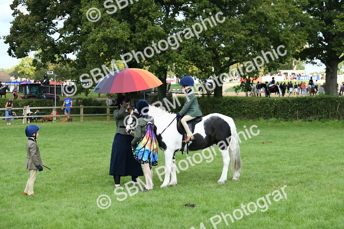 SBM_46997 - S12 - Family Horse & Pony