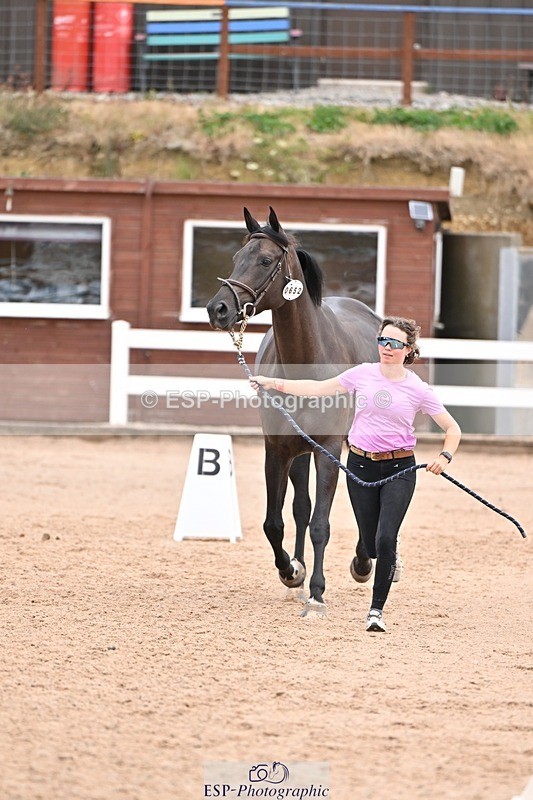 250716-140239-00868 - Trot Up 1.30 to 2.30