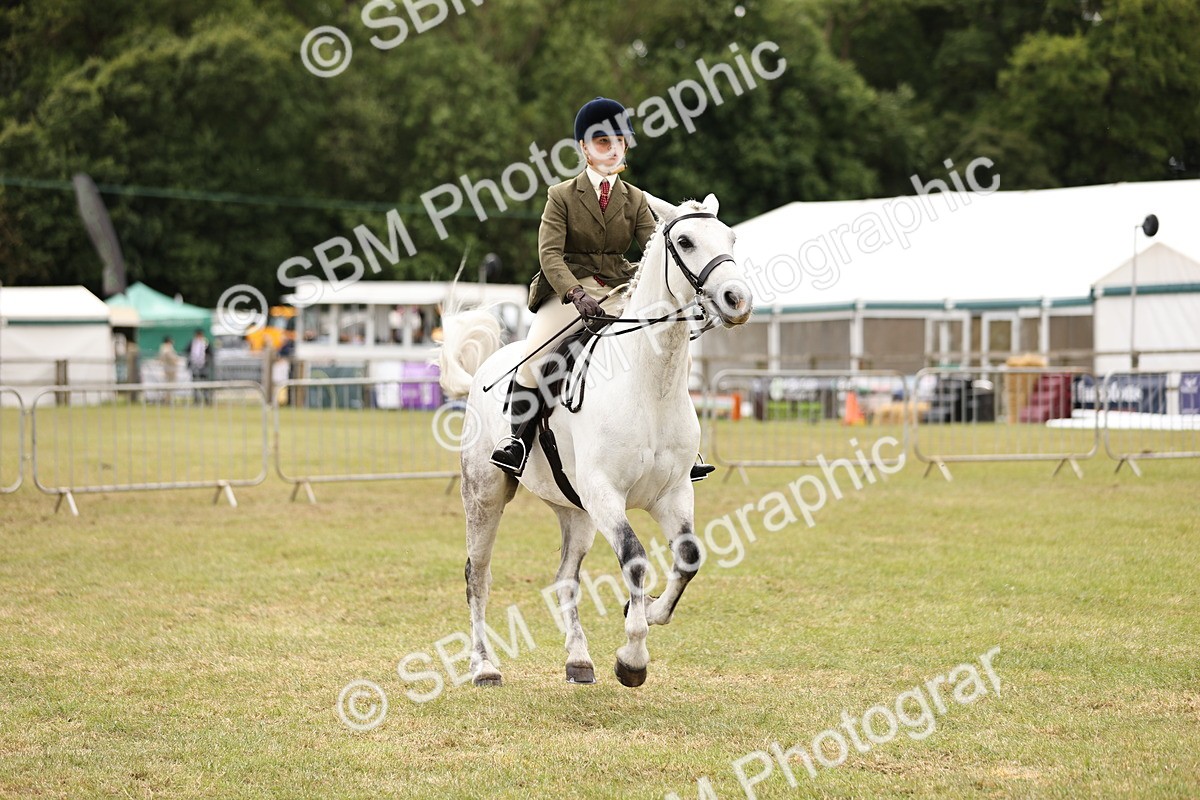 SBM_14592 - Class 88-89 - LIHS BSHA Rising Star of Ridden Hunter Type
