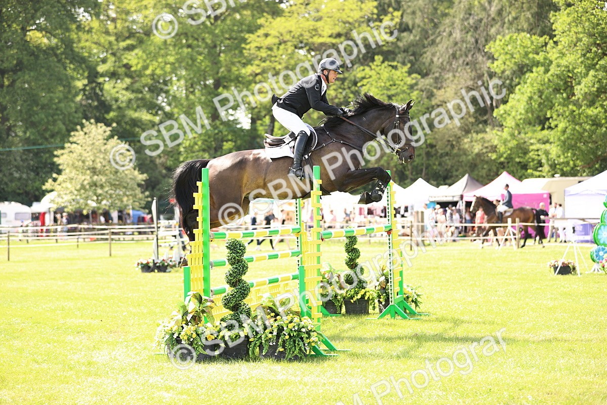 SBM_02996 - Class 201 - British Horse Feedds Speedi Beet HOYS Grade C
