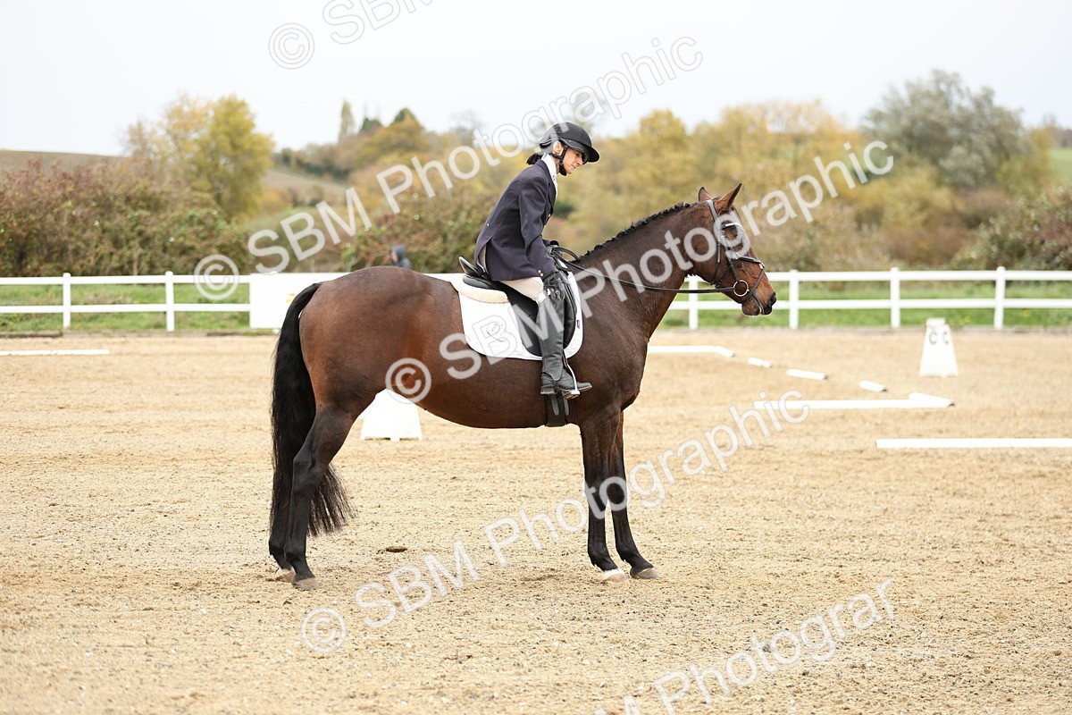 SBM_003013 - Class 8 - Novice 1