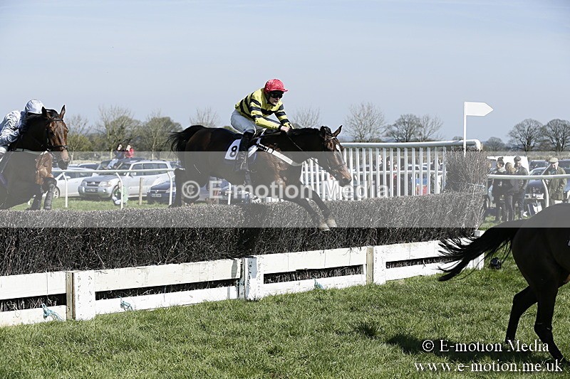 PtP 260317 53 - Mendip Farmers Point-to-Point Ston Easton 26/03/17