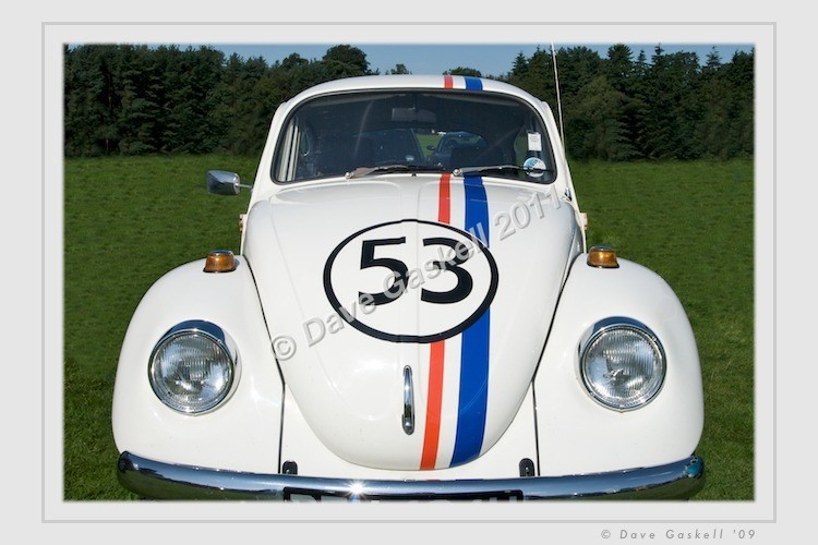 DSC_5929 - VWs