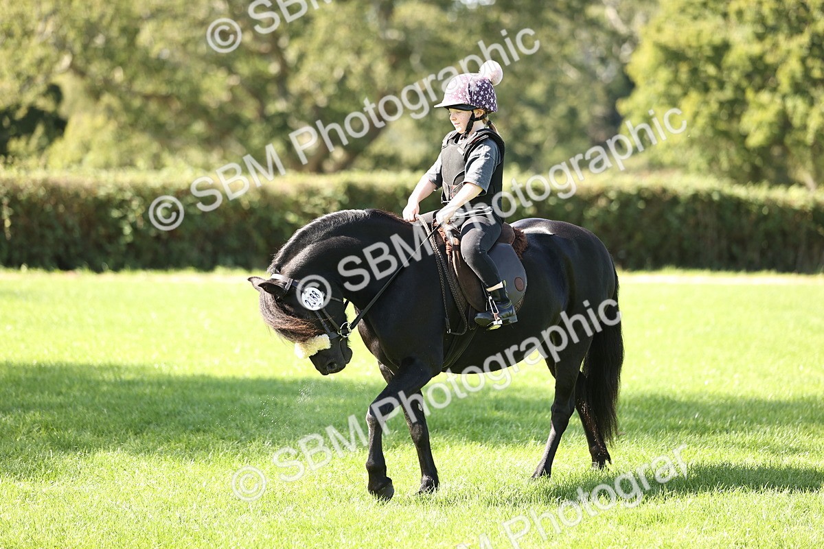 SBM_23087 - S4 - Have a Go at Working Equitation