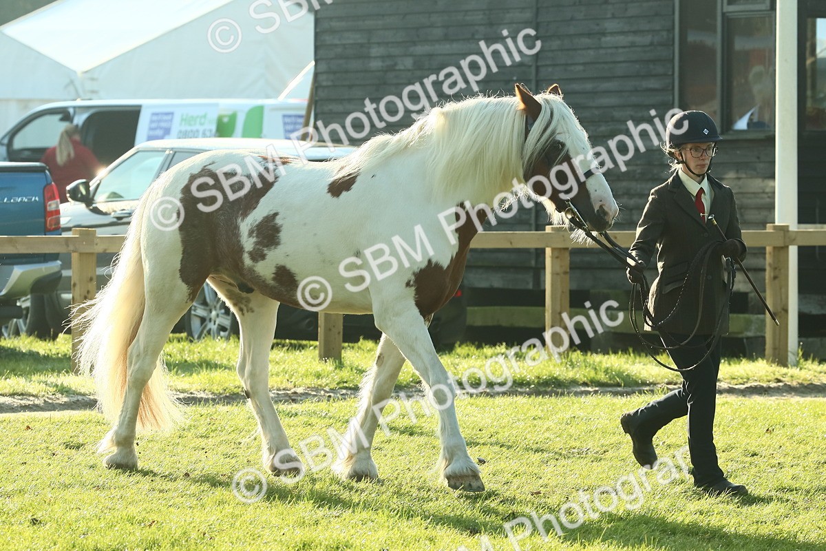 SBM_57419 - S37 - Starters In Hand Showing