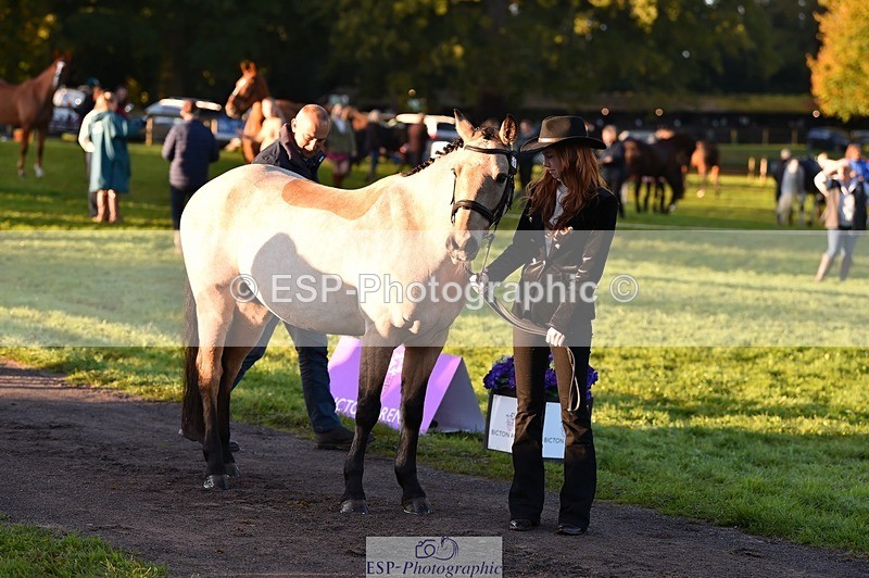 231022-084724-21359 - 661-MYSHALL.ROBBY-Poppy.Turriff-TrotUp+SJ