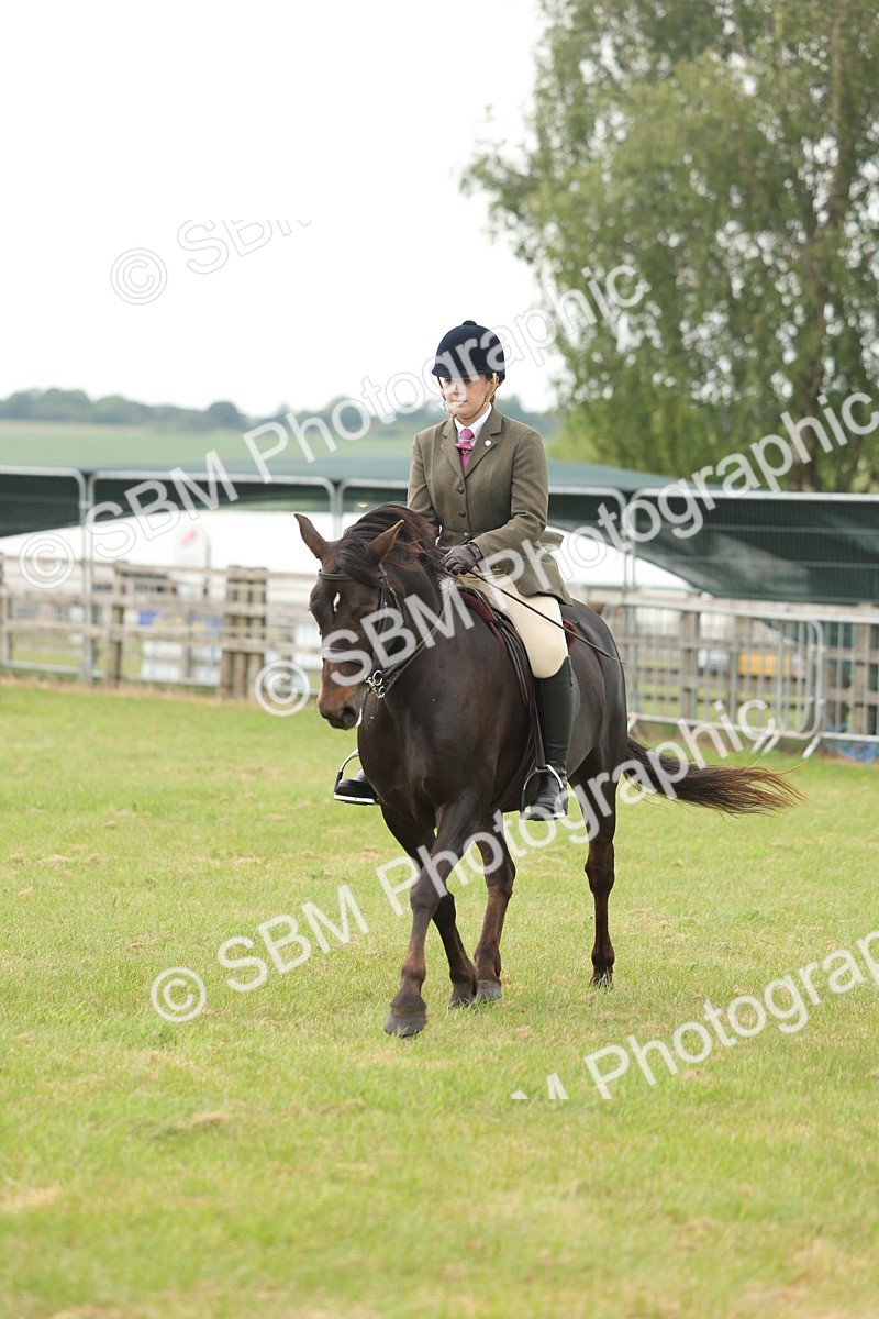 SBM_09082 - Class 78-80 - Ridden M&M Non Welsh Ponies