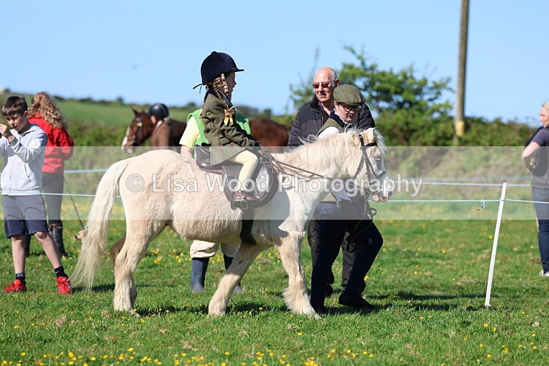 3E7A8901 - Class 2: Lead rein