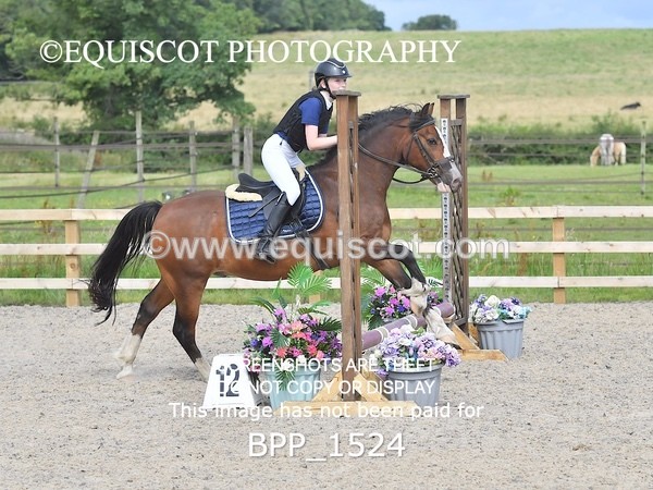 BPP_1524 - DERBY CLASS 3 - 40CM