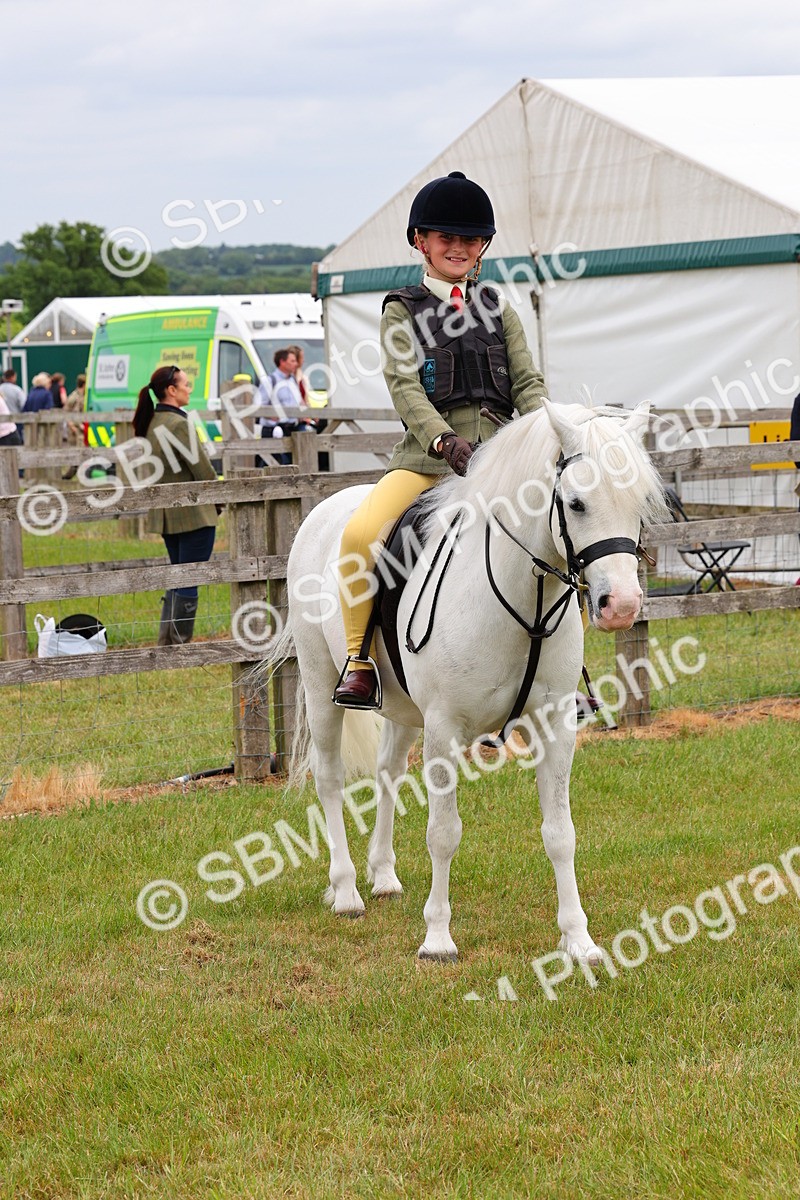 SBM_08815 - Class 42-43 - LIHS BSPS Heritage Working Sports Pony
