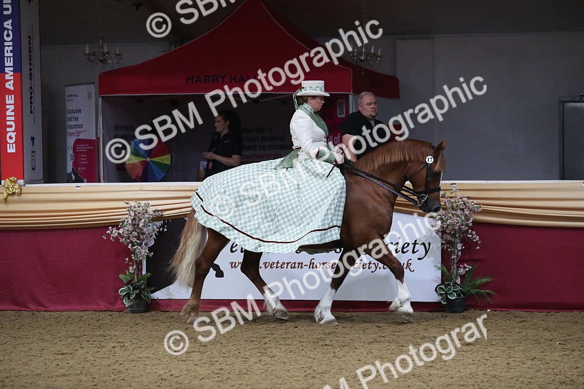 SBM_11975 - Class 106 Ridden Costume- Astride Adult (15-19)