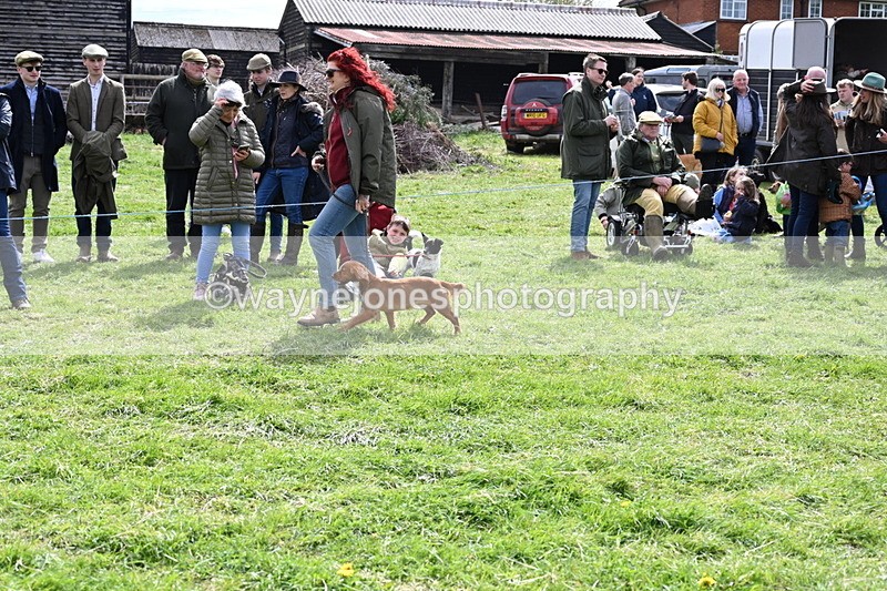 WJ6_8264 - Class 4 Prettiest Bitch