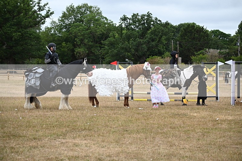 WJ6_9181 - Class 11 Fancy Dress