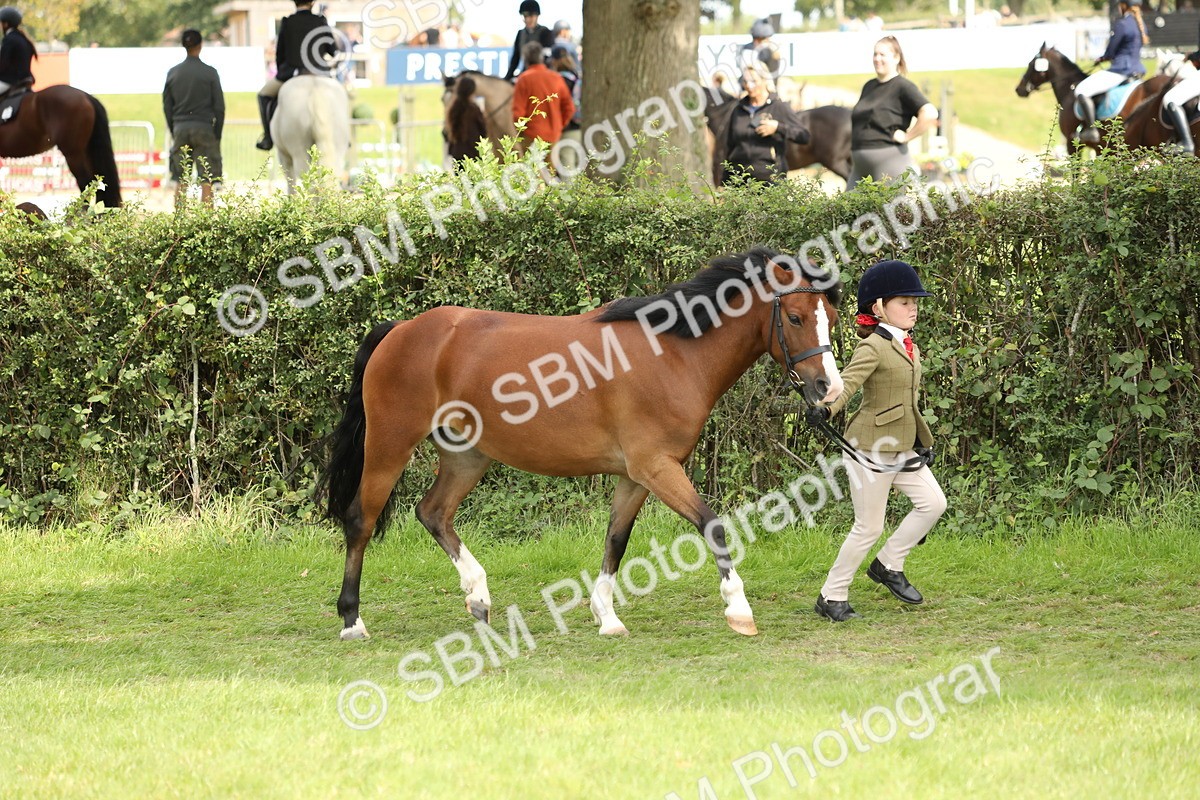 SBM_67705 - S39 - Junior Handler 8  Years & Under