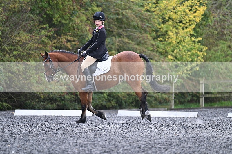 WJ7_3998 - Time 11:04 to 11:38