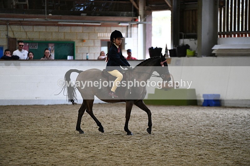 WJ5_6941 - Class 10 Childs Pony