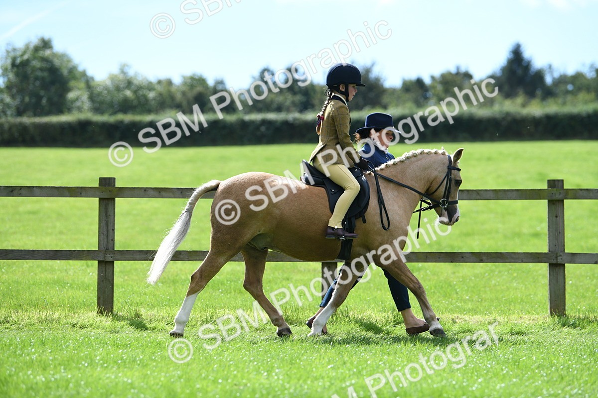SBM_41199 - S19 - Lead Rein Show & Show Hunter Pony