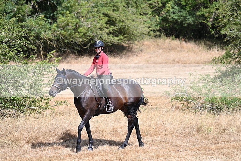WJ7_8602 - Time 13:13 to 13:14