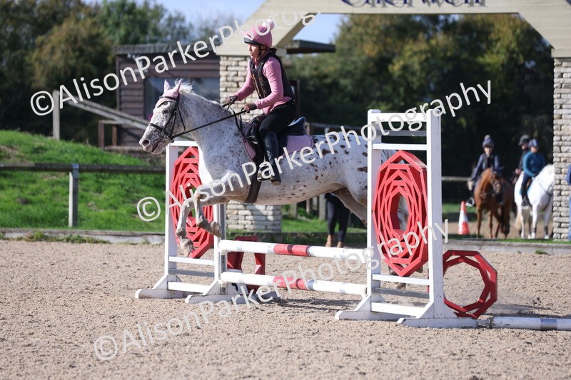 20251005-0263 - Class 3 - 60cm