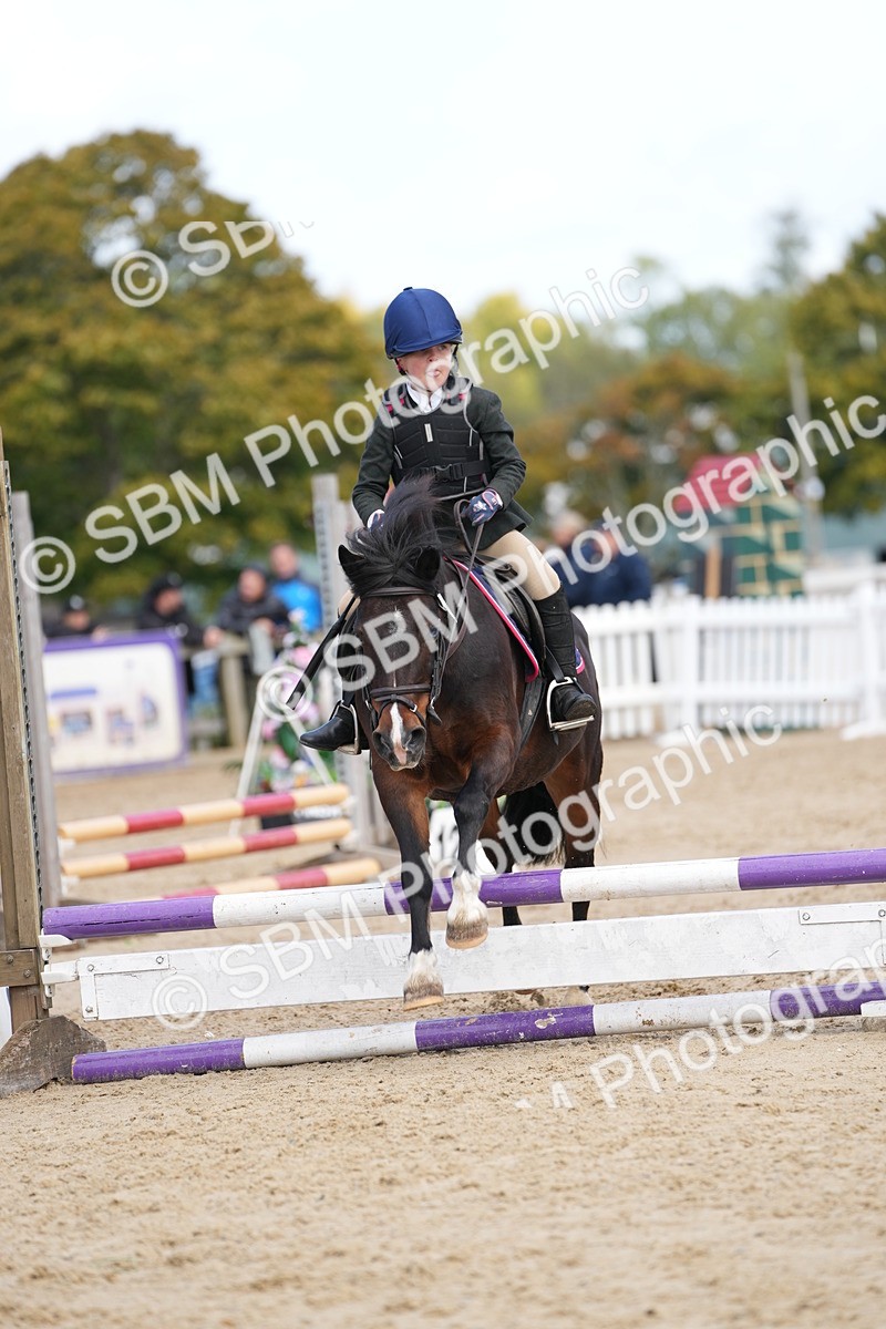 SBM_21339 - J49 - Open 50cm