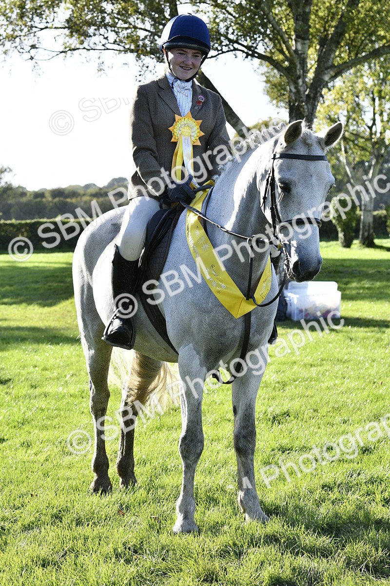 SBM_52269 - S35 - Working Hunter & Working Show Horse