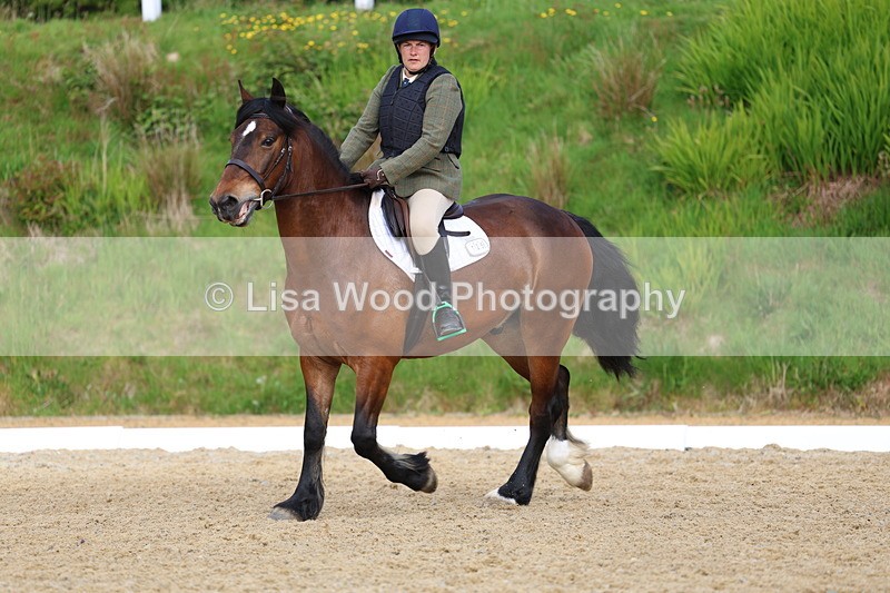 3E7A3441 - Class 2: INTRO B- INTRO 3 2024