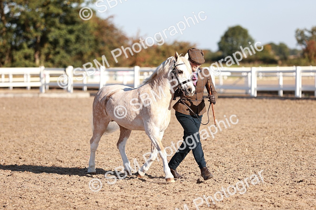 SBM_11413 - Class 402 - IH  Veteran pony