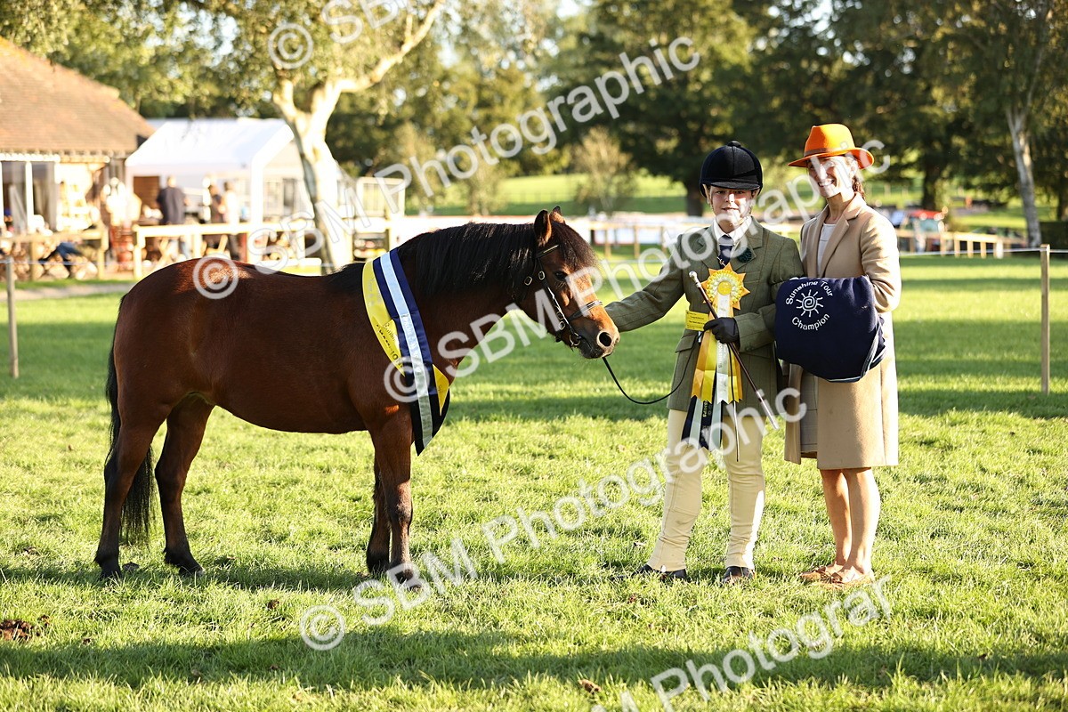 SBM_30131 - Novice & Newcomers Supreme Championship