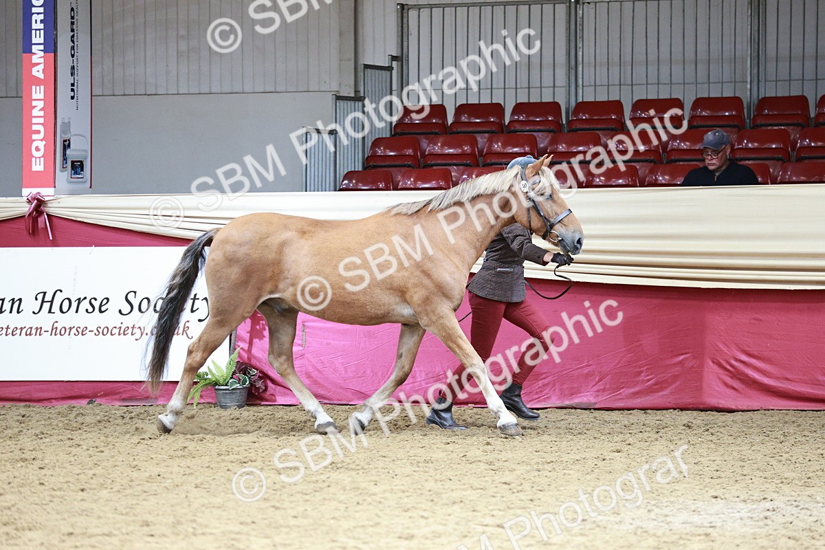 SBM_04663 - Class 7R - Regional IH Diamond