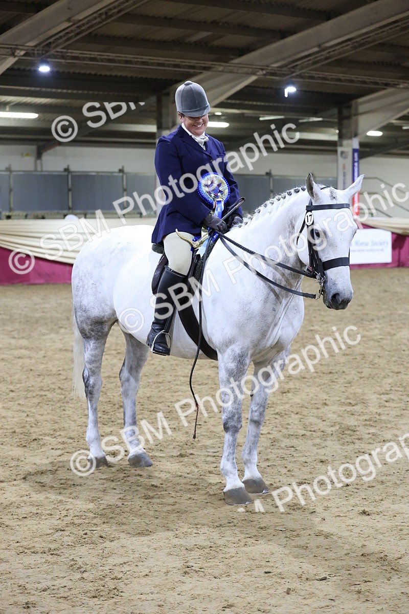 SBM_21195 - class Q - Ridden Horse Champ