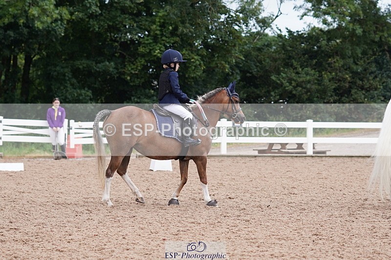 240809A-100918-00454 - Dressage Competition