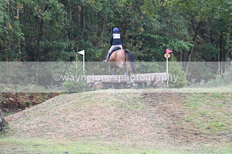 WJ7_5385 - Time 13:00 to 13:18