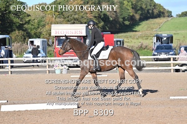 BPP_8309 - SHORT ARENA INTRO 1