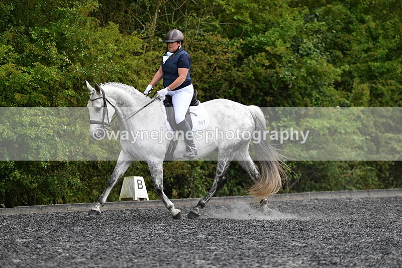 WJ5_2060 - Time 15:05 to 15:30