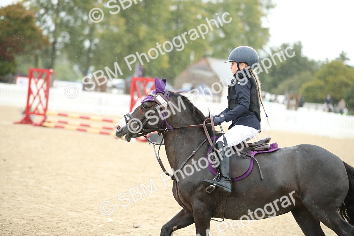 SBM_34343 - J60 Clear Round 50cm