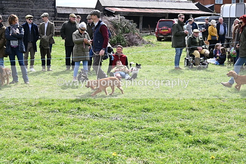 WJ6_8260 - Class 4 Prettiest Bitch