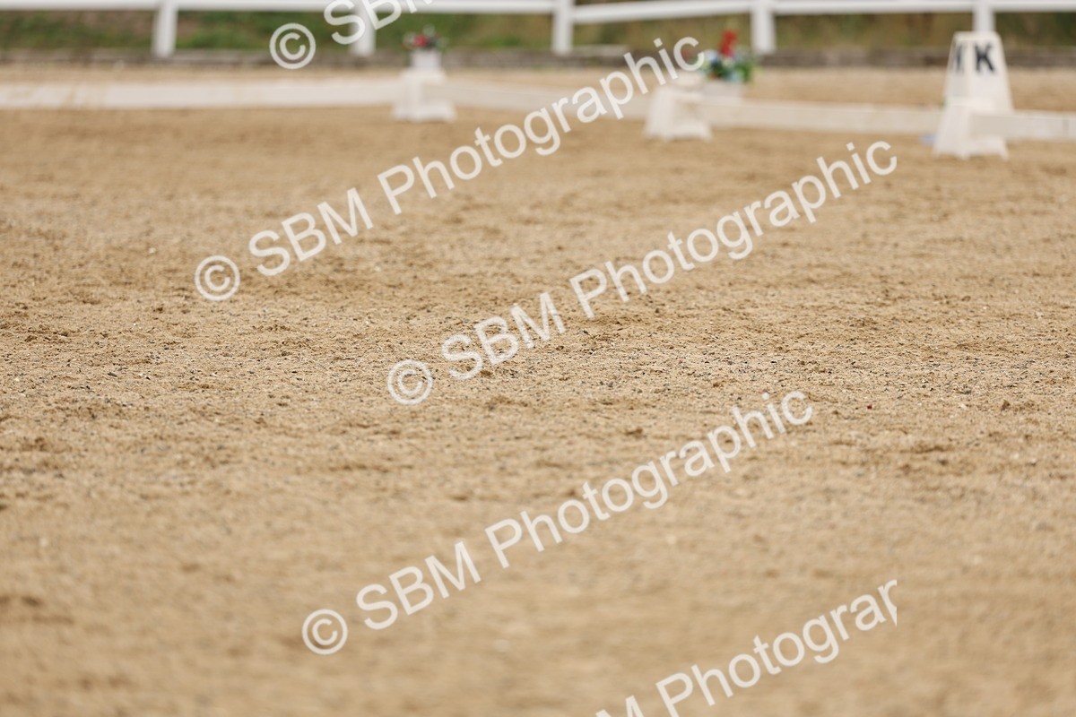 SBM_01600 - Class 9 - Novice 27 Champs