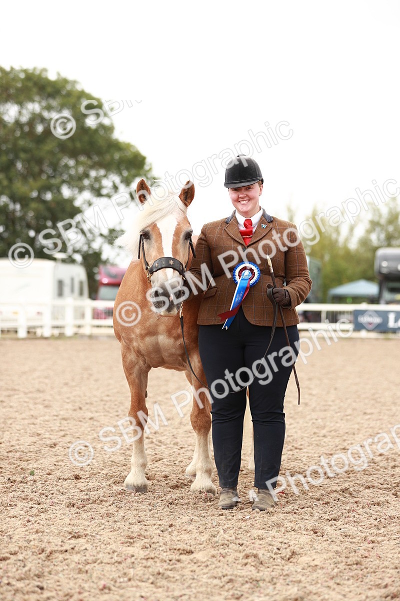 SBM_11926 - Class 206 IH Non Show Type Pony