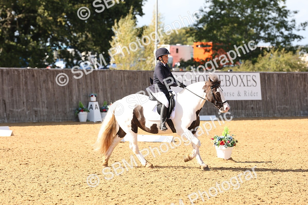 SBM_50441 - D12 - Small Tour Championship prelim 2