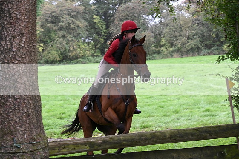 WJ6_1913 - Time 13:31 to 14:00