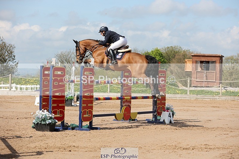 250427-105246-15668 - Cls 36 Young Horse 7yr old