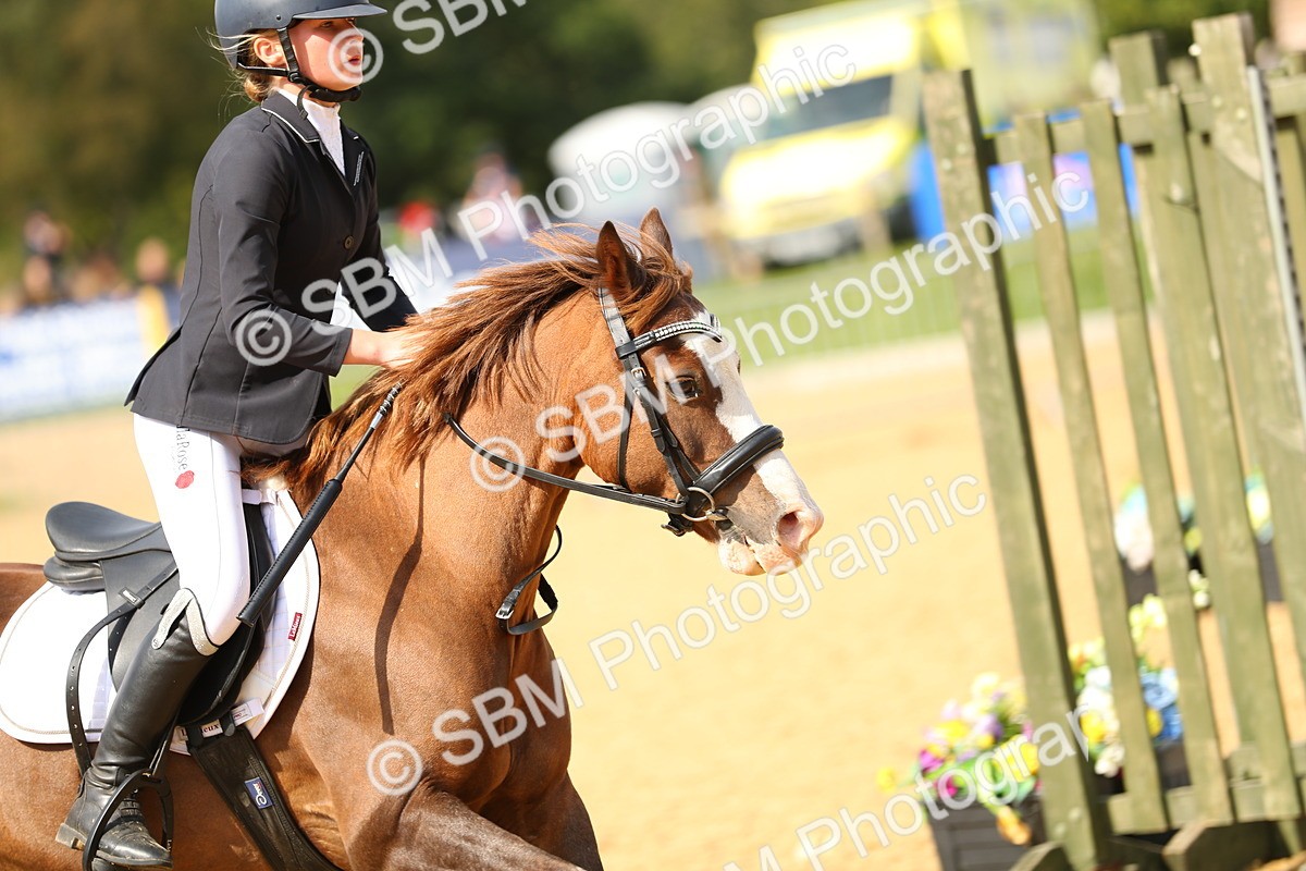 SBM_66099 - J17 - Junior Pony 80cm Championship