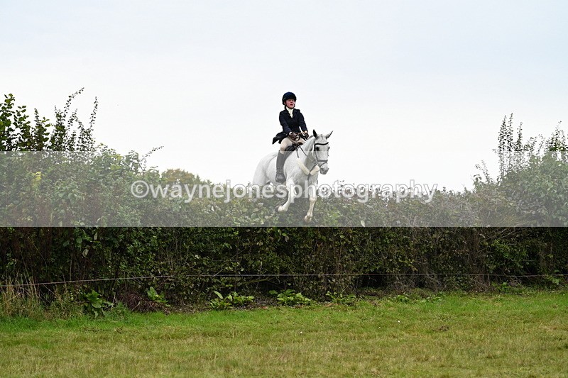 WJ7_4074 - Camera 1 Line 2