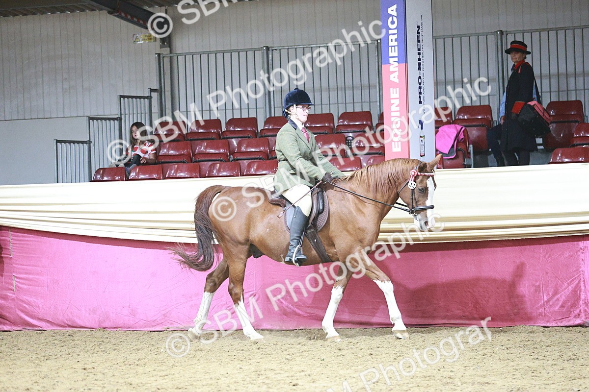 SBM_07982 - Class 11R - Regional Ridden Veteran