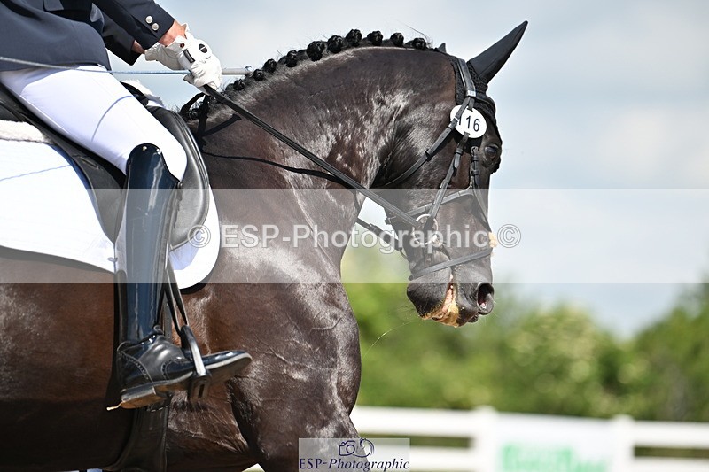 240621A-105704-01473 - Cls 4 BD Novice 22