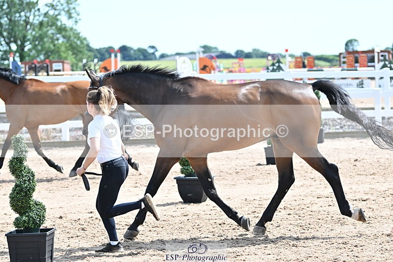 240717A-150035-02432 - Trot Up 3pm to 4pm